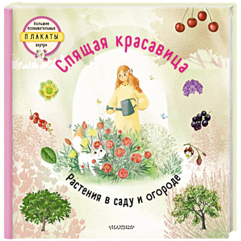 Спящая красавица