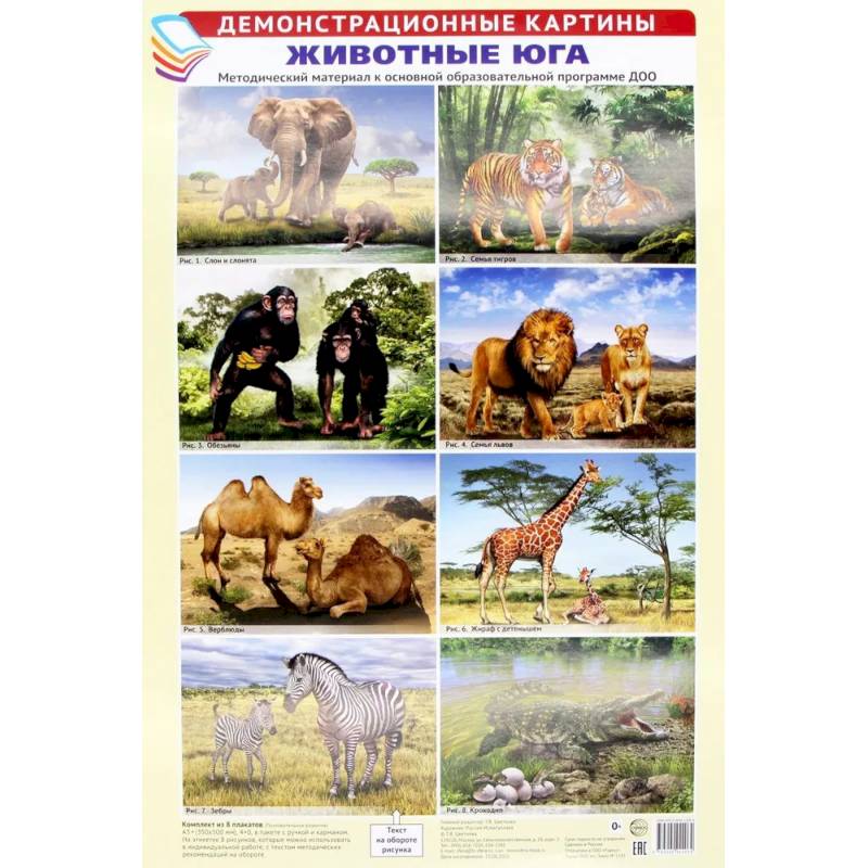 Демонстрационные картины А3. Животные Юга (8 плакатов)