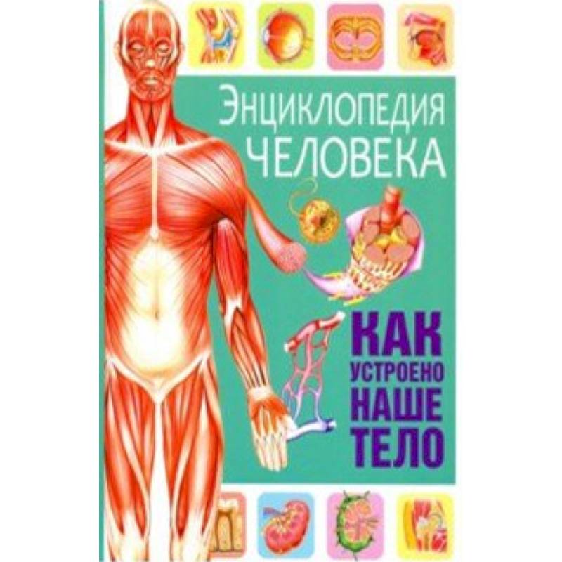 Энциклопедия человека. Как устроено наше тело