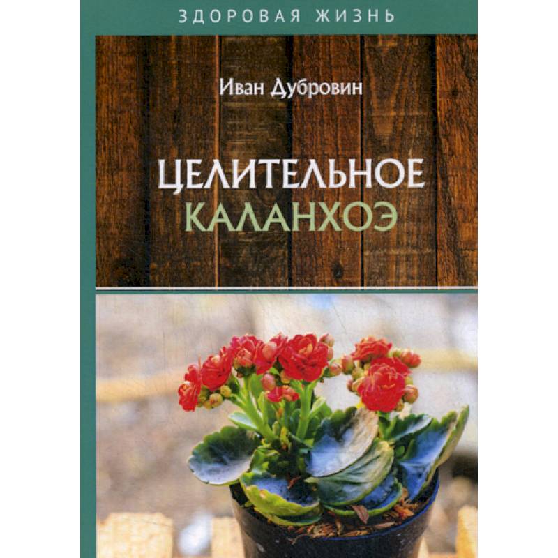 Целительное каланхоэ