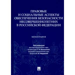 Правовые и социальные аспекты обеспечения безопасности несовершеннолетних в Российской Федерации