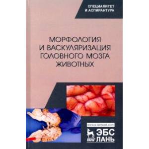 Морфология и васкуляризация головного мозга животных. Монография