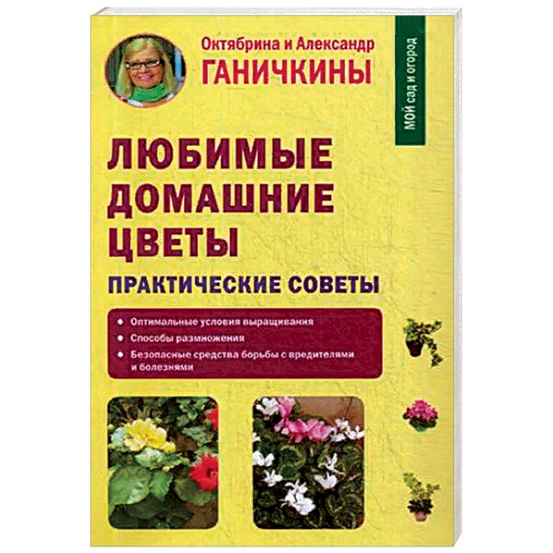 Любимые домашние цветы. Практические советы