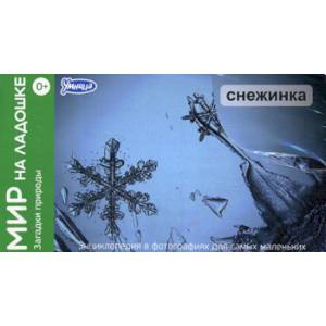 Загадки природы