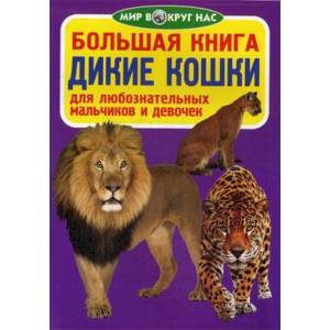Большая книга. Дикие кошки. Для любознательных мальчиков и девочек. Завязкин О.В.
