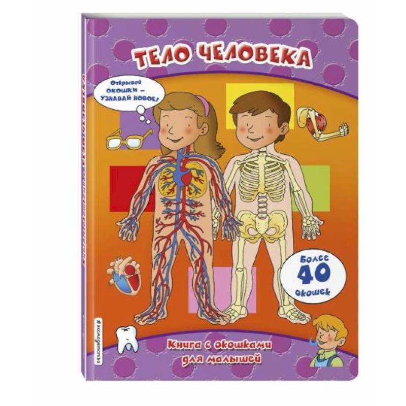 Тело человека (книги с окошками)