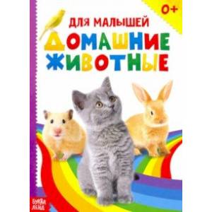 Домашние животные