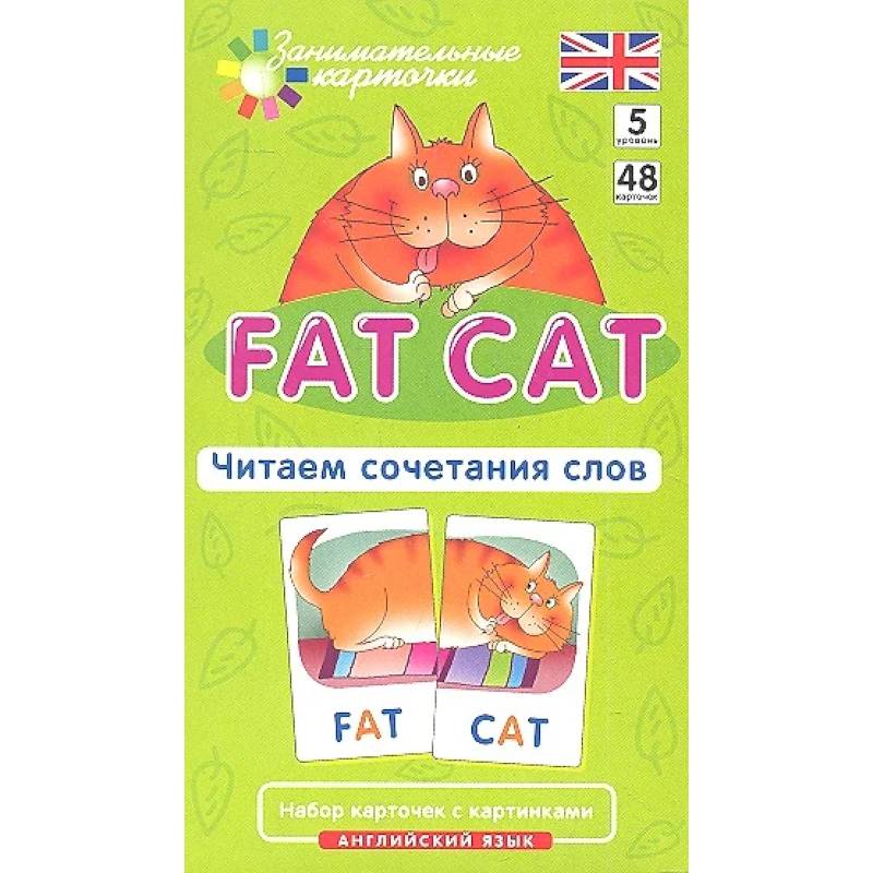 Игровой развивающий набор: Толстый кот. Fat Cat. Читаем сочетания слов. Английский язык.