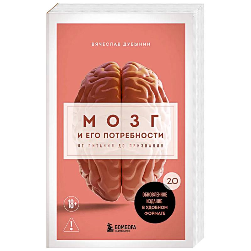 Мозг и его потребности. 2.0 от питания до признания