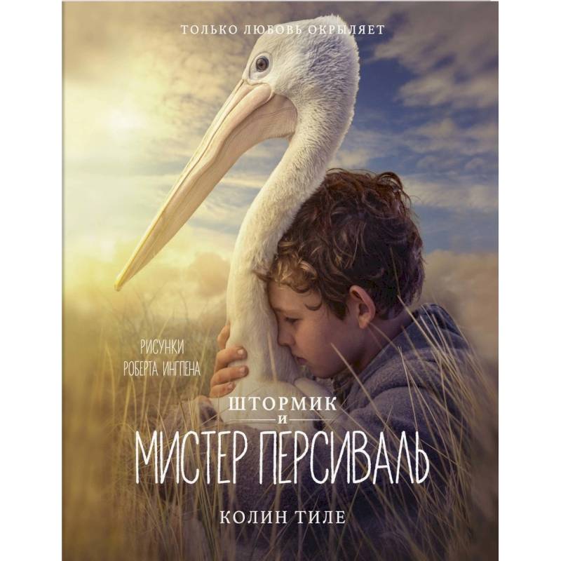 Штормик и мистер Персиваль