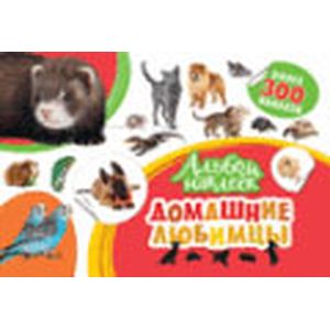 Домашние любимцы