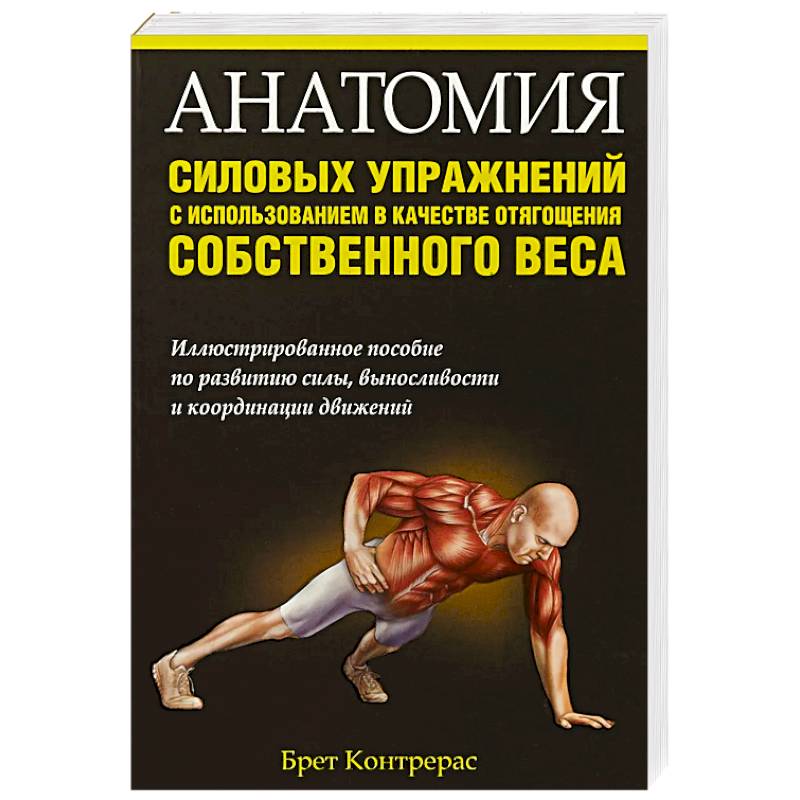 Анатомия силовых упражнений с использованием