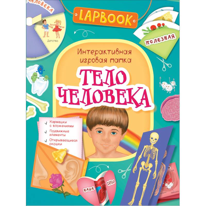 Тело человека.Интерактивная игровая папка