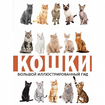 Кошки