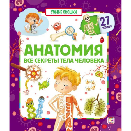 Прочие книжки-игрушки, книга Умные окошки. Анатомия купить по скидке