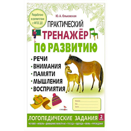 Общая подготовка к школе, книга Практический тренажер по развитию речи, внимания, памяти, мышления, восприятия. Выпуск 2. Рабочая тетрадь купить по скидке