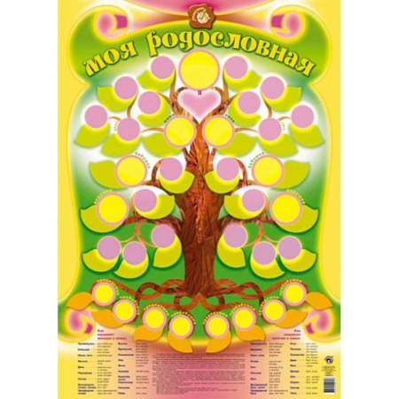 Другое, книга Плакат 'Моя родословная' купить по скидке