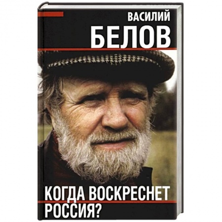 Общество, книга Когда воскреснет Россия? купить по скидке