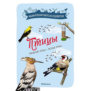 Птицы. Городские птицы. Лесные птицы