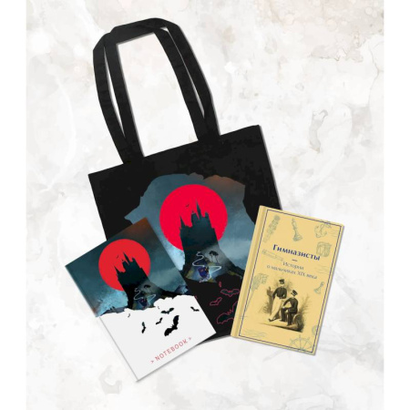 Книги, книга Подарочный набор для мальчика (книга 'Гимназисты. Истории о мальчиках XIX века, шоппер и блокнот 'Замок Дракулы') купить по скидке