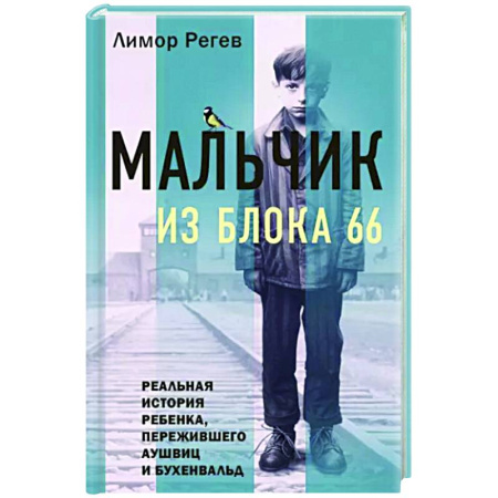 Вторая мировая война (1939-1945), книга Мальчик из Блока 66. Реальная история ребенка, пережившего Аушвиц и Бухенвальд купить по скидке