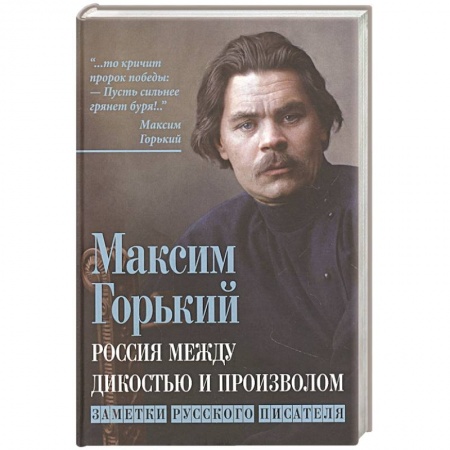 Политика, книга Россия между дикостью и произволом купить по скидке
