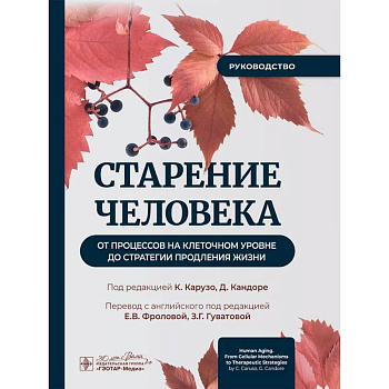 Старение человека: от процессов на клеточном уровне до стратегии продления жизни: руководство