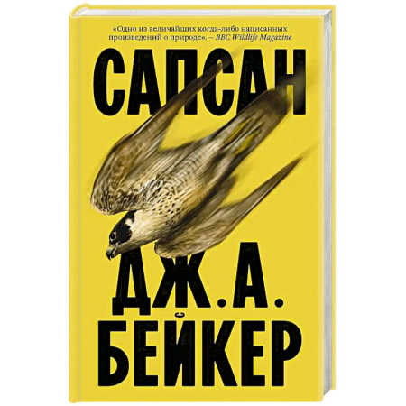 Зарубежная современная проза, книга Сапсан купить по скидке