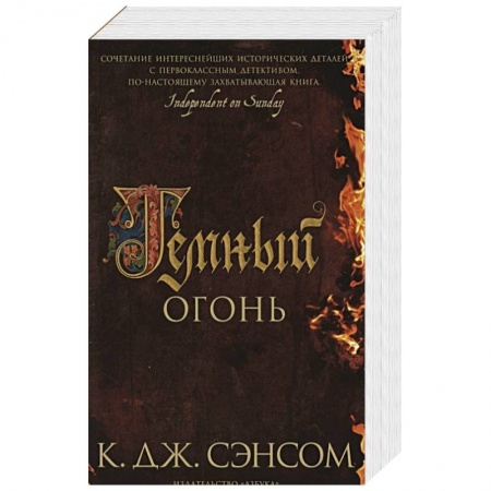 Исторический роман, книга Темный огонь купить по скидке