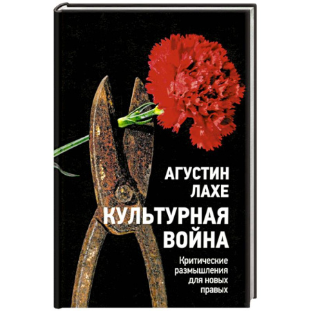 Политика, книга Культурная война: Критическое размышление купить по скидке