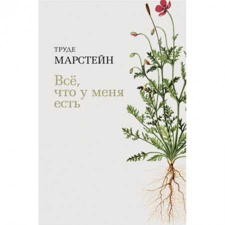 Зарубежная современная проза, книга Все, что у меня есть купить по скидке