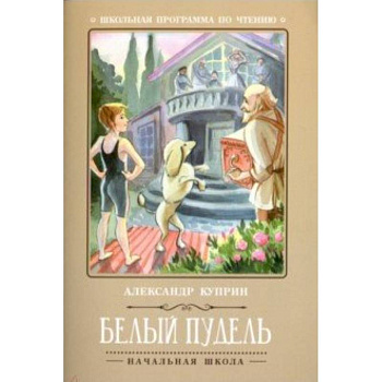 Белый пудель