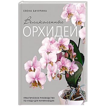 Великолепные орхидеи. Практичное руководство по уходу для начинающих