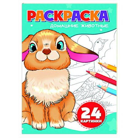 Животные. Птицы. Растения, книга Домашние животные (24 картинки) купить по скидке