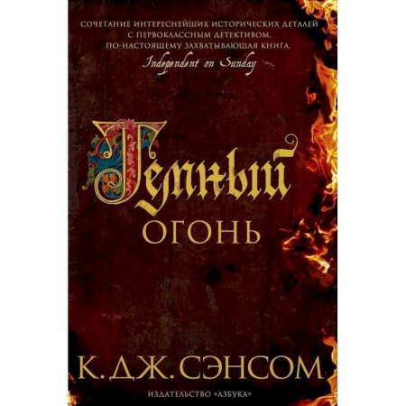Историческая зарубежная проза, книга Темный огонь купить по скидке