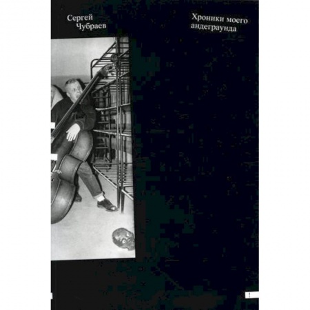 Эссе, письма, очерки, книга Хроники моего андеграунда купить по скидке