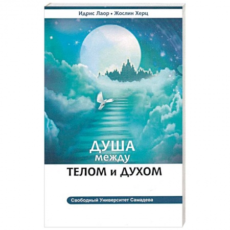Другие эзотерические учения, книга Душа между телом и духом. Фрагменты сущностной психологии купить по скидке