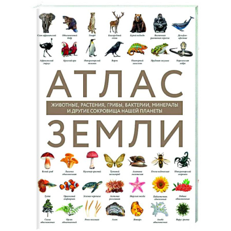Общие справочники, книга Атлас Земли. Животные, растения, грибы, бактерии, минералы и другие сокровища нашей планеты купить по скидке