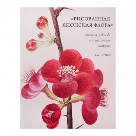 Живопись, книга Рисованная Японская Флора доктора Зибольда и ее 200-летняя история купить по скидке