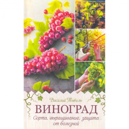 Плодовые и ягодные культуры, книга Виноград. Сорта, выращивание, защита от болезней купить по скидке