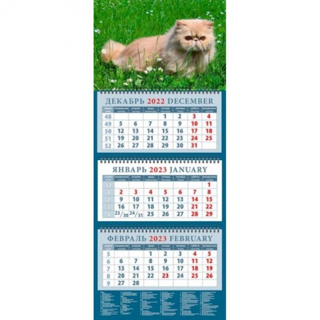 Календарь Год кота. Красавец в траве, на 2023 год