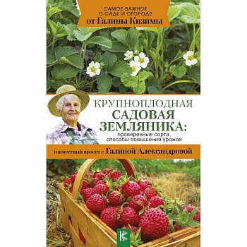 Крупноплодная садовая земляника: проверенные сорта, способы повышения урожая