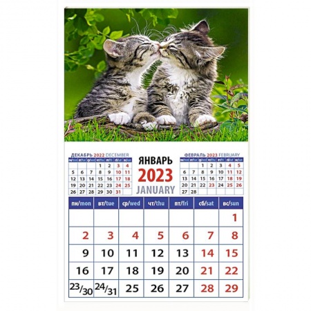 Календарь Год кота. Кошачьи нежности на 2023 год
