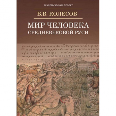 Филологические науки в целом. Частные филологии, книга Мир человека средневековой Руси купить по скидке
