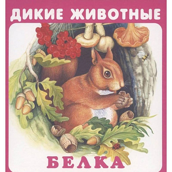 Дикие животные