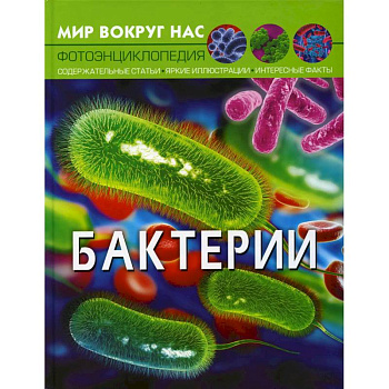 Мир вокруг нас. Бактерии